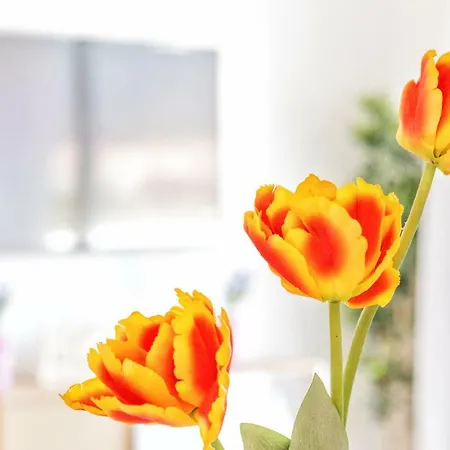 Sea & Mountain View Penthouse *