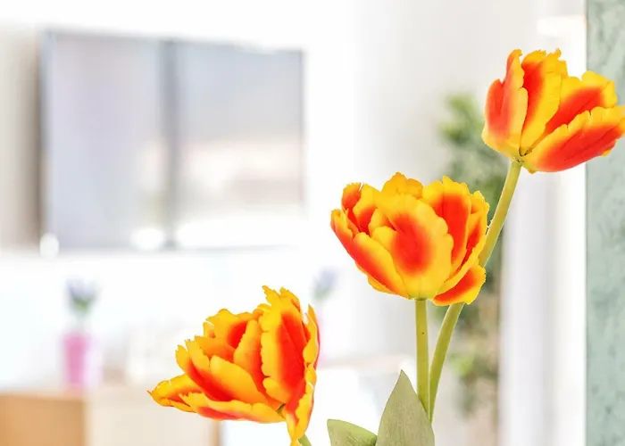 Sea & Mountain View Penthouse *